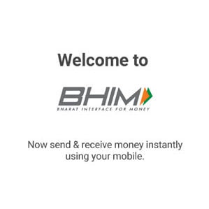 Image result for bhim app logo