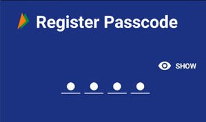 BHIM passcode PIN