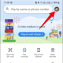 Google Pay DAshboard
