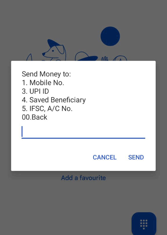 send money to options